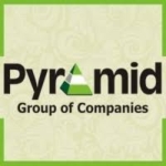 Pyramid Group of Companies